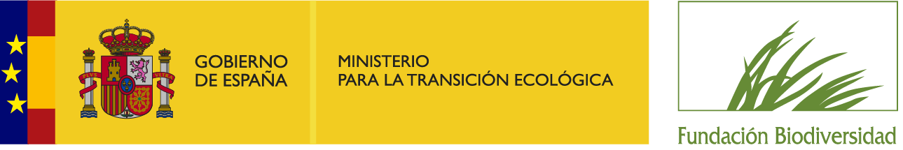 MITECOFB con bandera-color