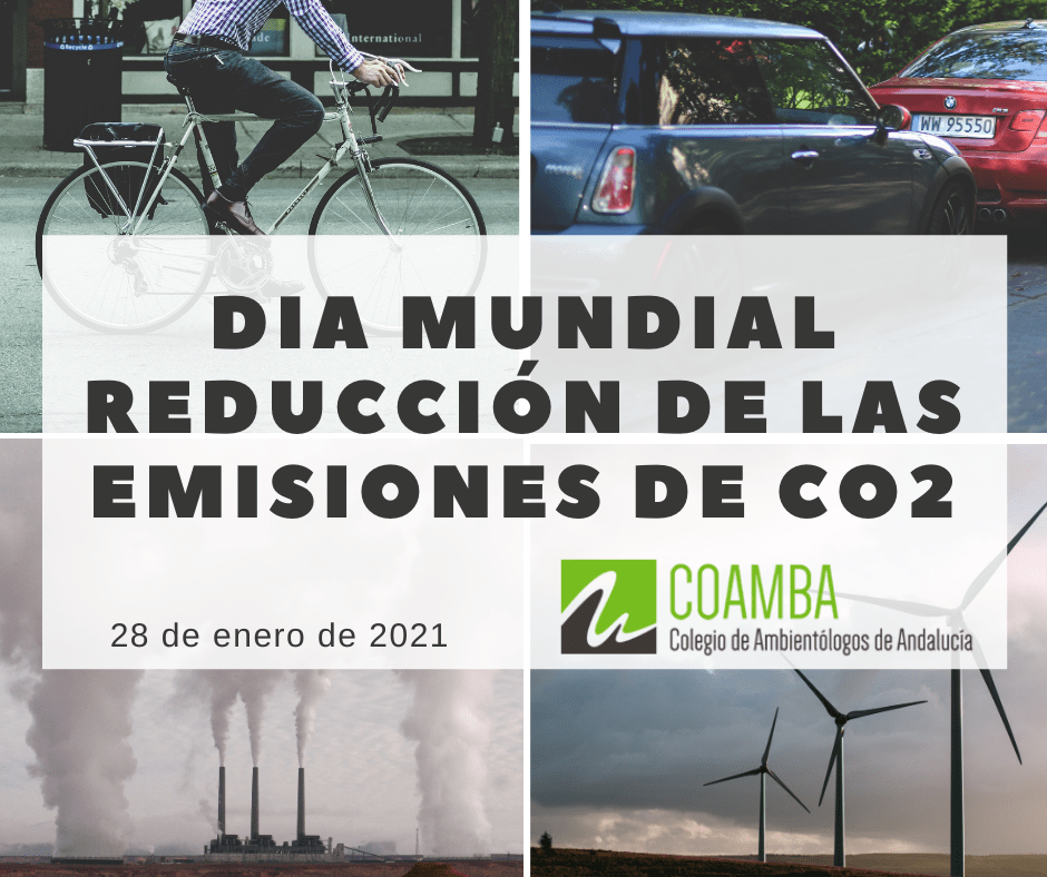 DM Reducci&oacute;n emisiones 28 enero
