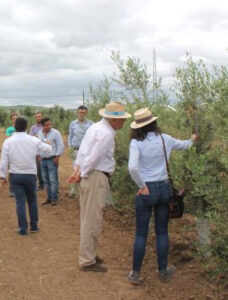 formacion_asesores_ifapa_2