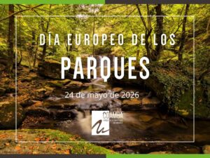 Día internacional de ... 43