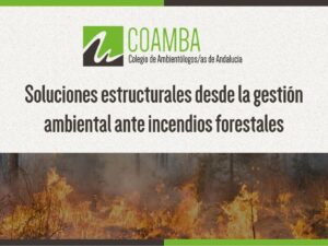 Artículo incendios (1)
