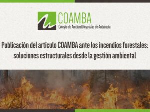Artículo incendios (1)