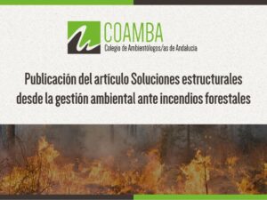 Artículo incendios (2)