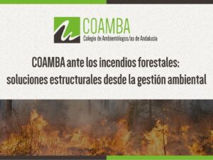 Artículo incendios