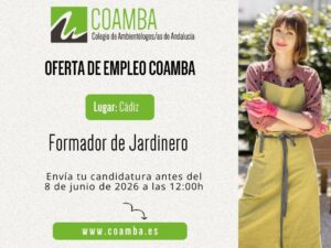 Plantilla OE (43) (1)