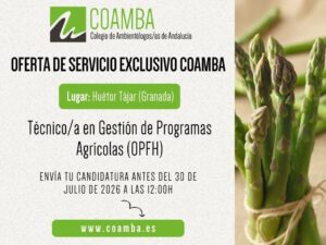 Plantilla OS (43)
