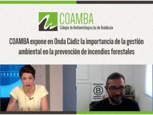 Onda Cádiz Incendios Forestales