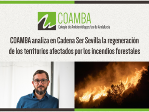 Cadena Ser Radio Sevilla Incendios