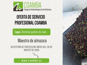 Plantilla Servicios Profesionales (43)