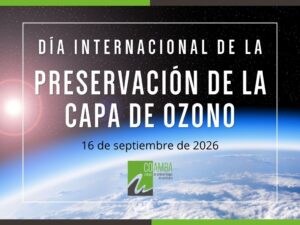 Día internacional de ... 43