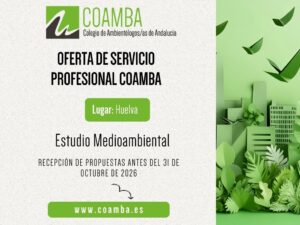 Plantilla Servicios Profesionales (43)