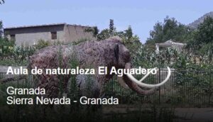Aguadero