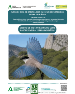 Curso guia ornitológico
