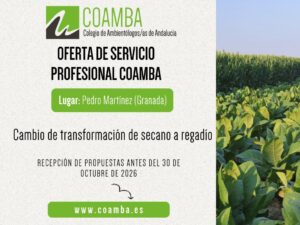 Plantilla Servicios Profesionales (4_3)